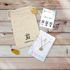 Picture of  Day & Night MOP Steel Earrings 