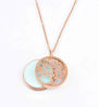 Picture of Silver Tone Essential oil diffuser w/Anti-fatigue Health Magnetic Surgical Steel Pendant Necklace